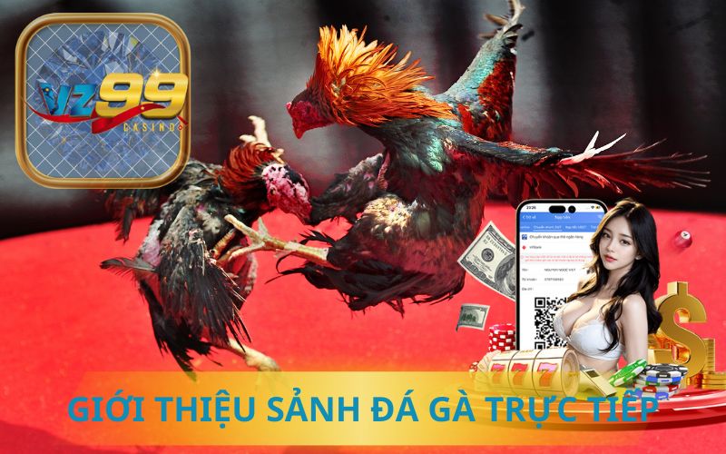 GIỚI THIỆU SẢNH ĐÁ GÀ TRỰC TIẾP TẠI VZ99