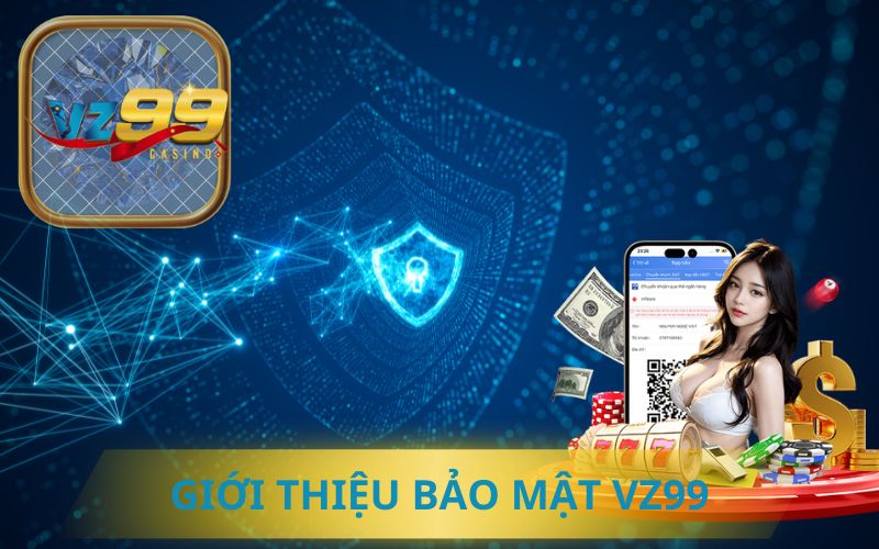 GIỚI THIỆU CHÍNH SÁCH BẢO MẬT VZ99